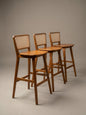 The Elevated Bar Collection